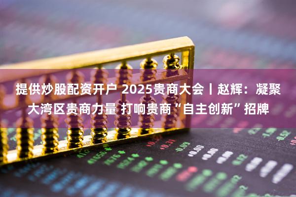 提供炒股配资开户 2025贵商大会丨赵辉：凝聚大湾区贵商力量 打响贵商“自主创新”招牌